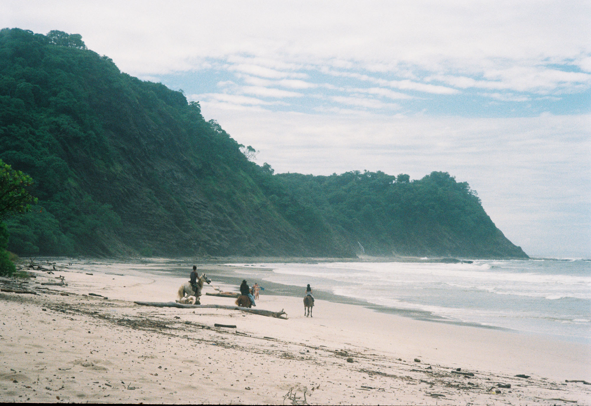 Wide view of Playa Barrigona beach with horses, driftwood, and jungle-covered cliffs