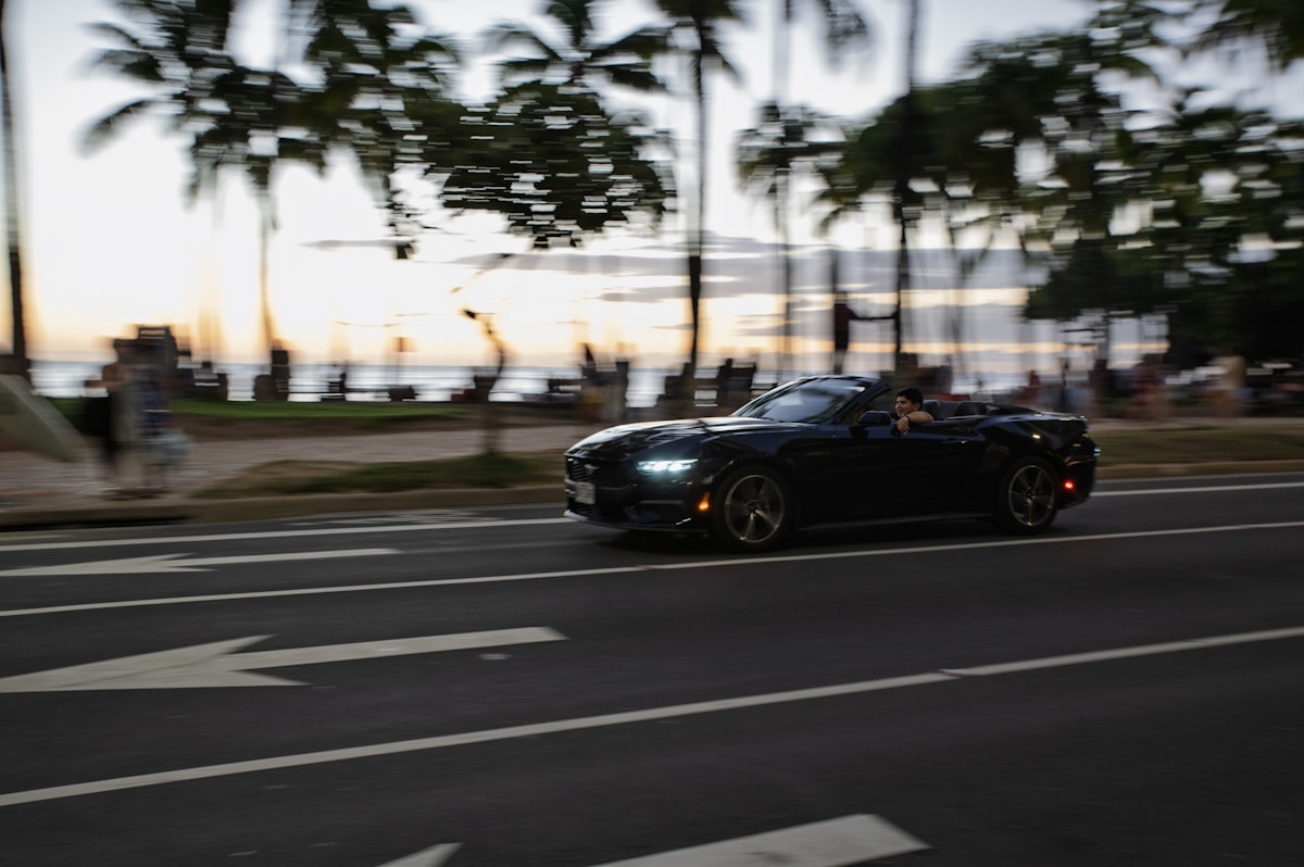 Lush jungle road in Costa Rica with golden light filtering through the trees