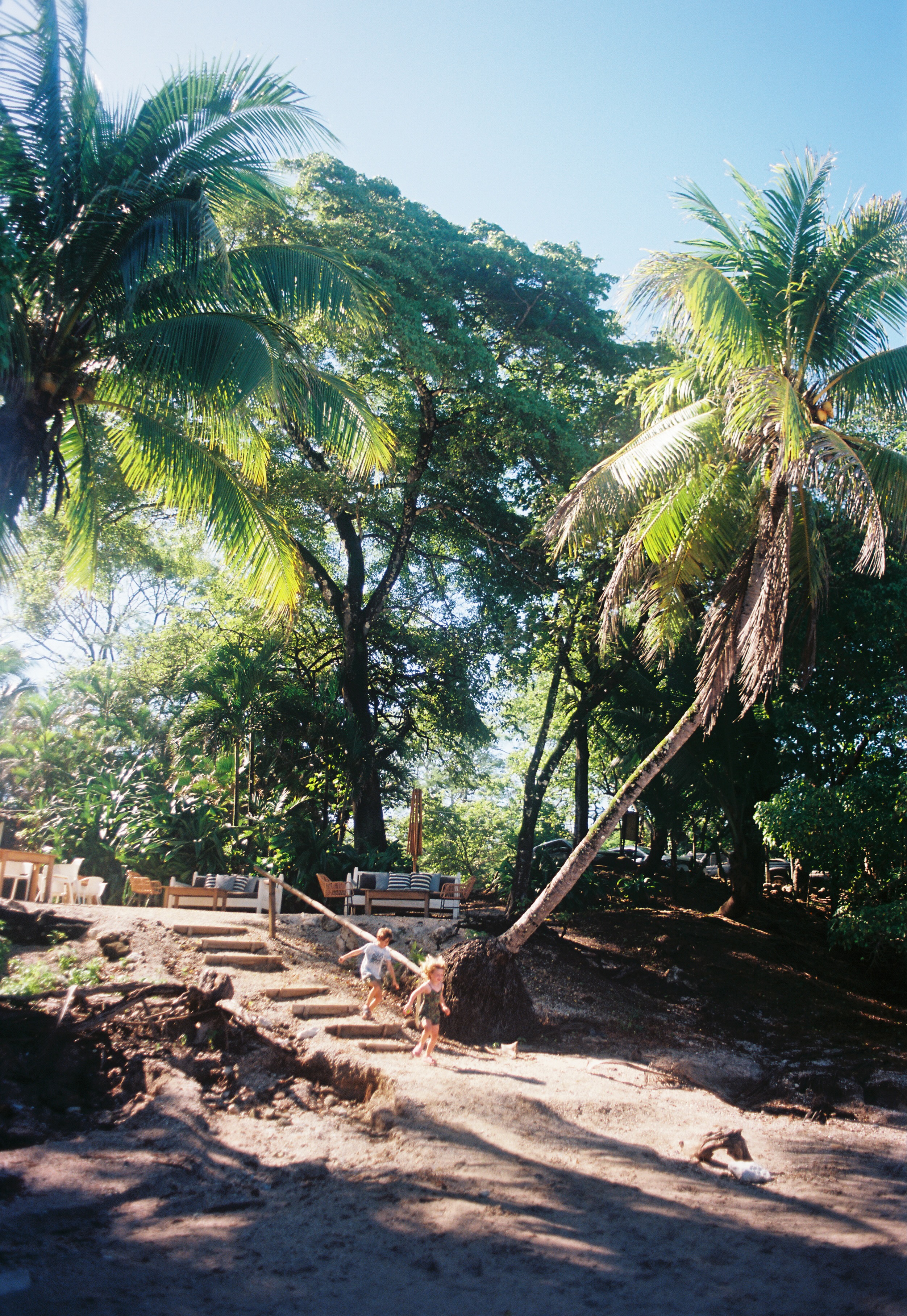 Kids running down sandy stairs toward the beach through palm trees in Nosara