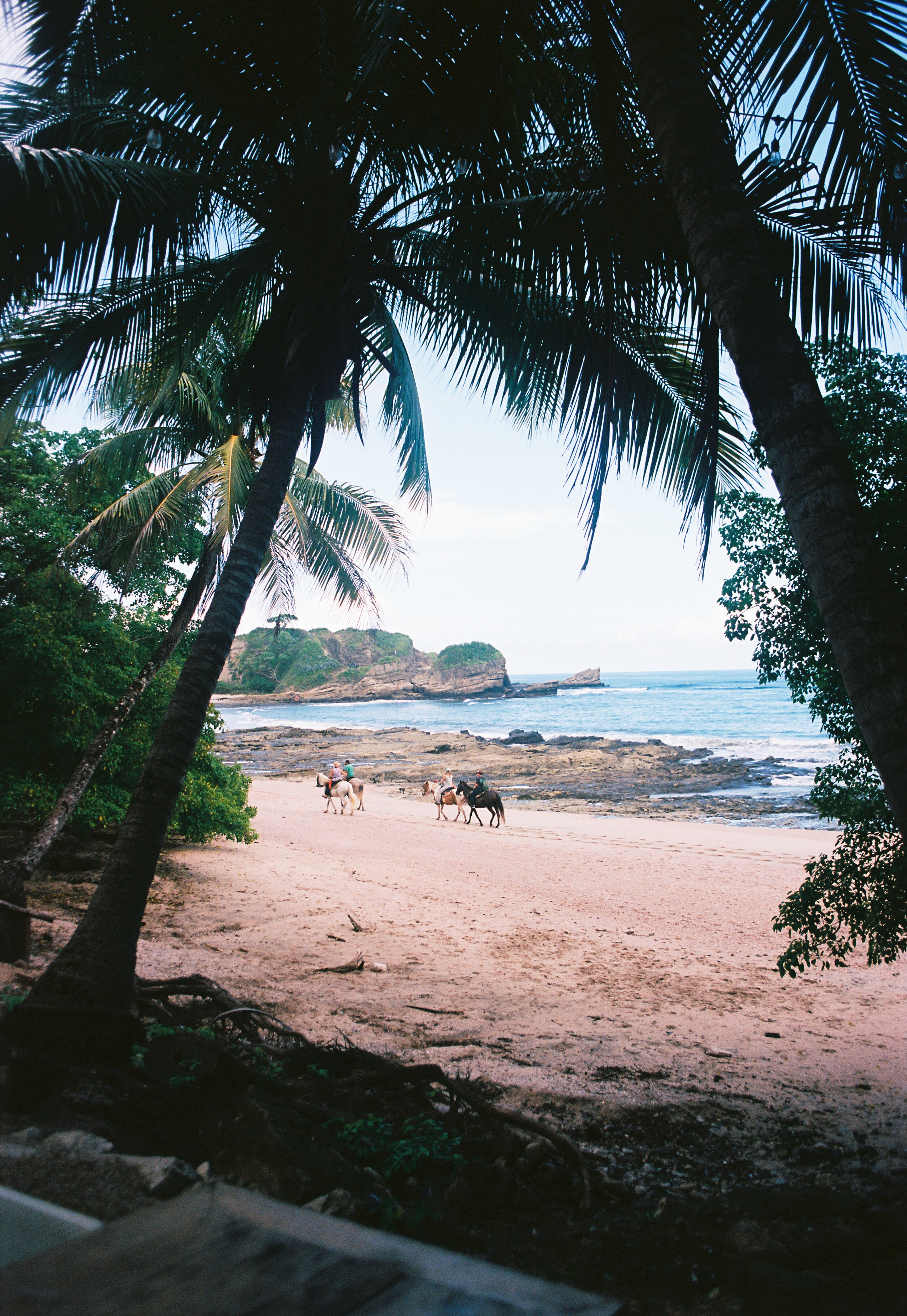 Kids riding horses along the beach at sunset in Nosara, Costa Rica