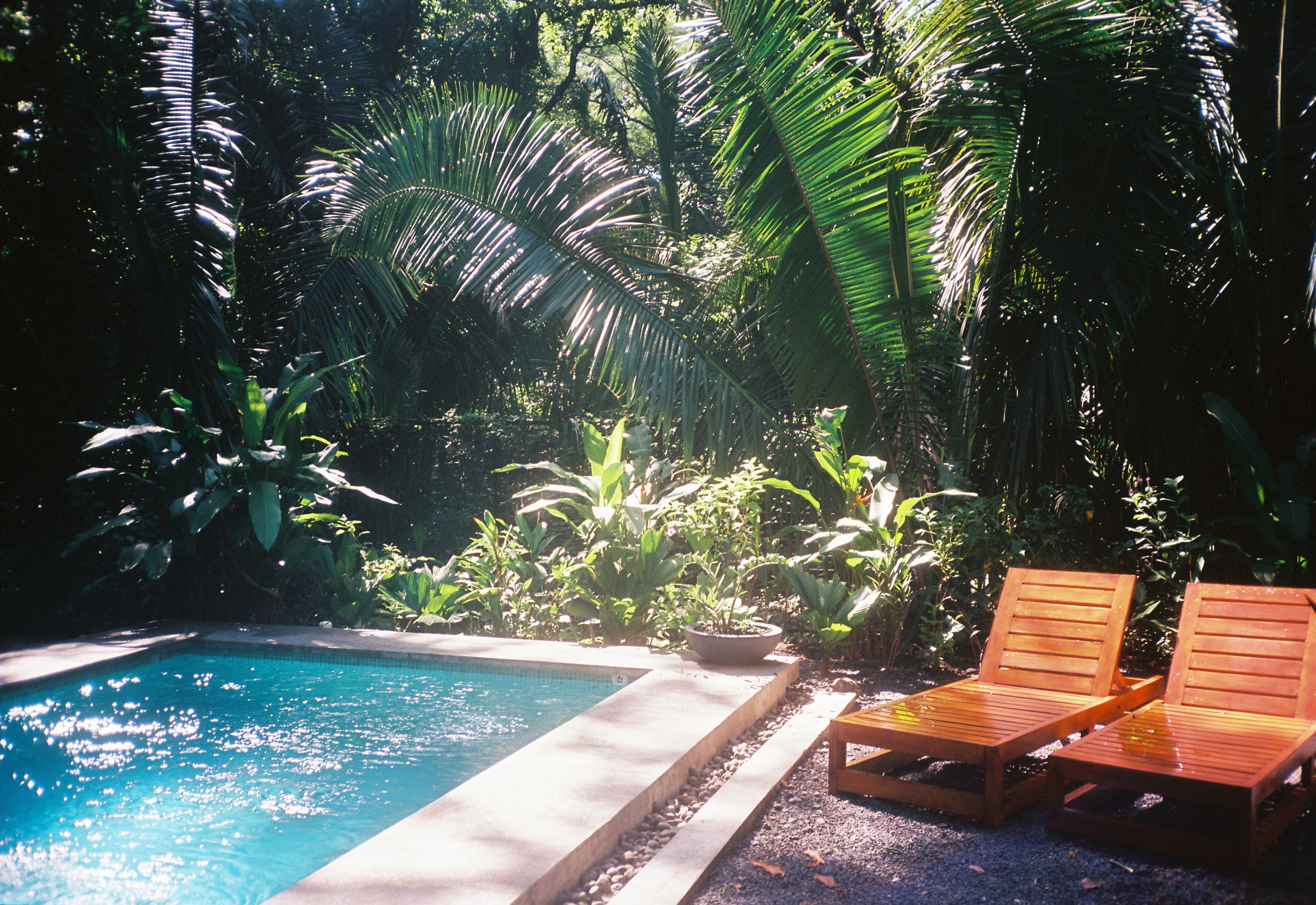 Private pool surrounded by tropical jungle with wooden lounge chairs at Kembar Nosara