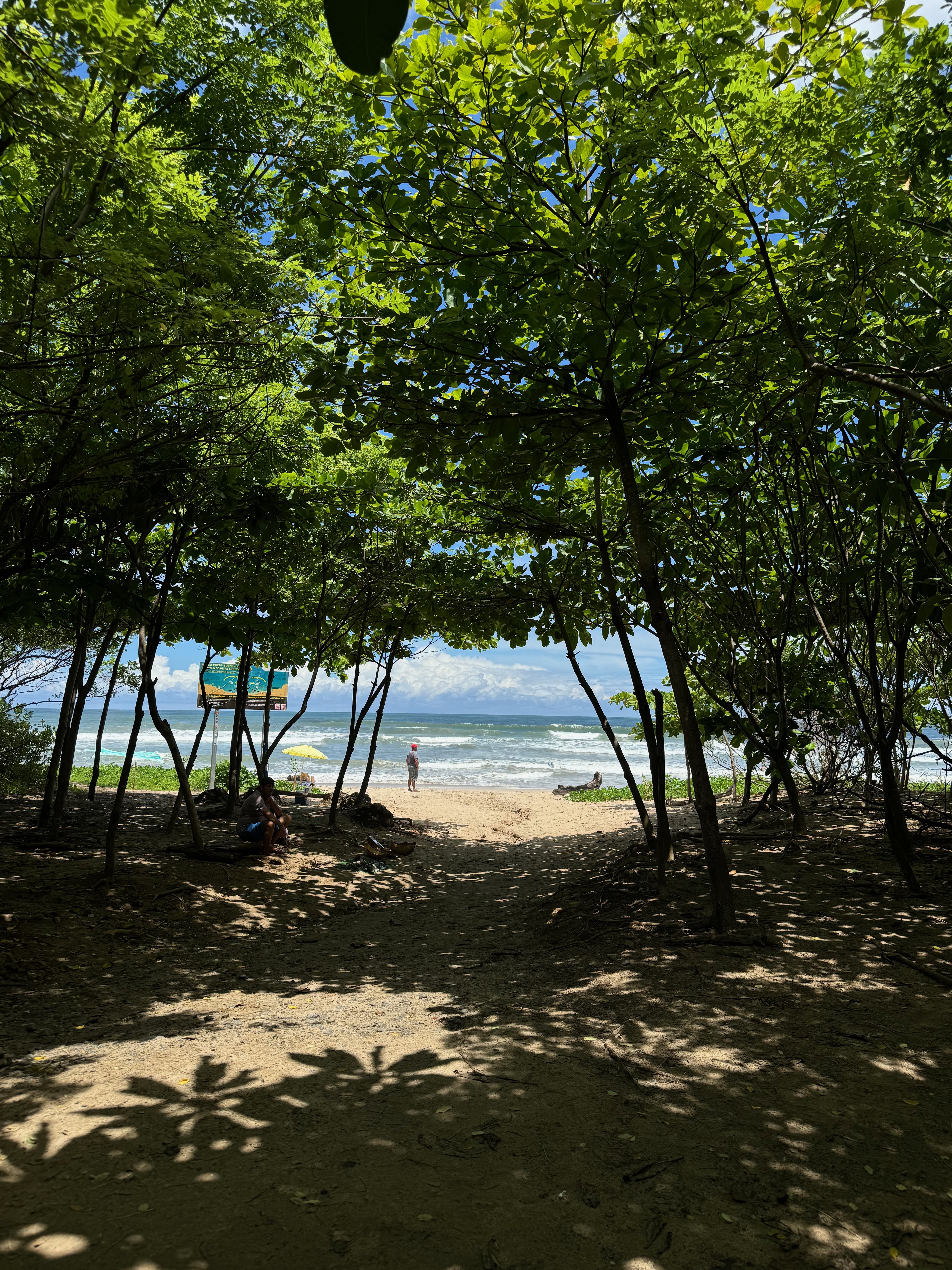 View of Nosara beach through tropical trees with surf umbrellas and ocean waves