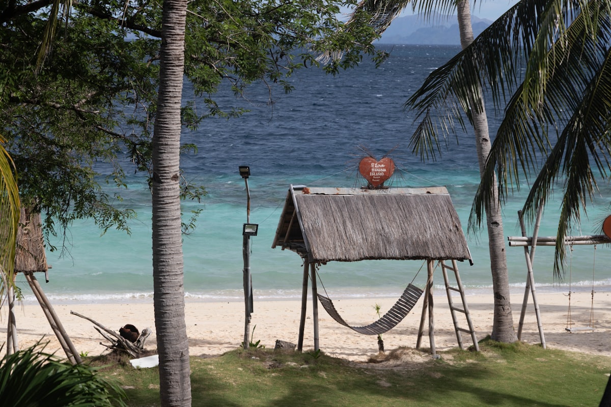 Colorful hammocks and surfboards in a tropical beachside setting with golden light
