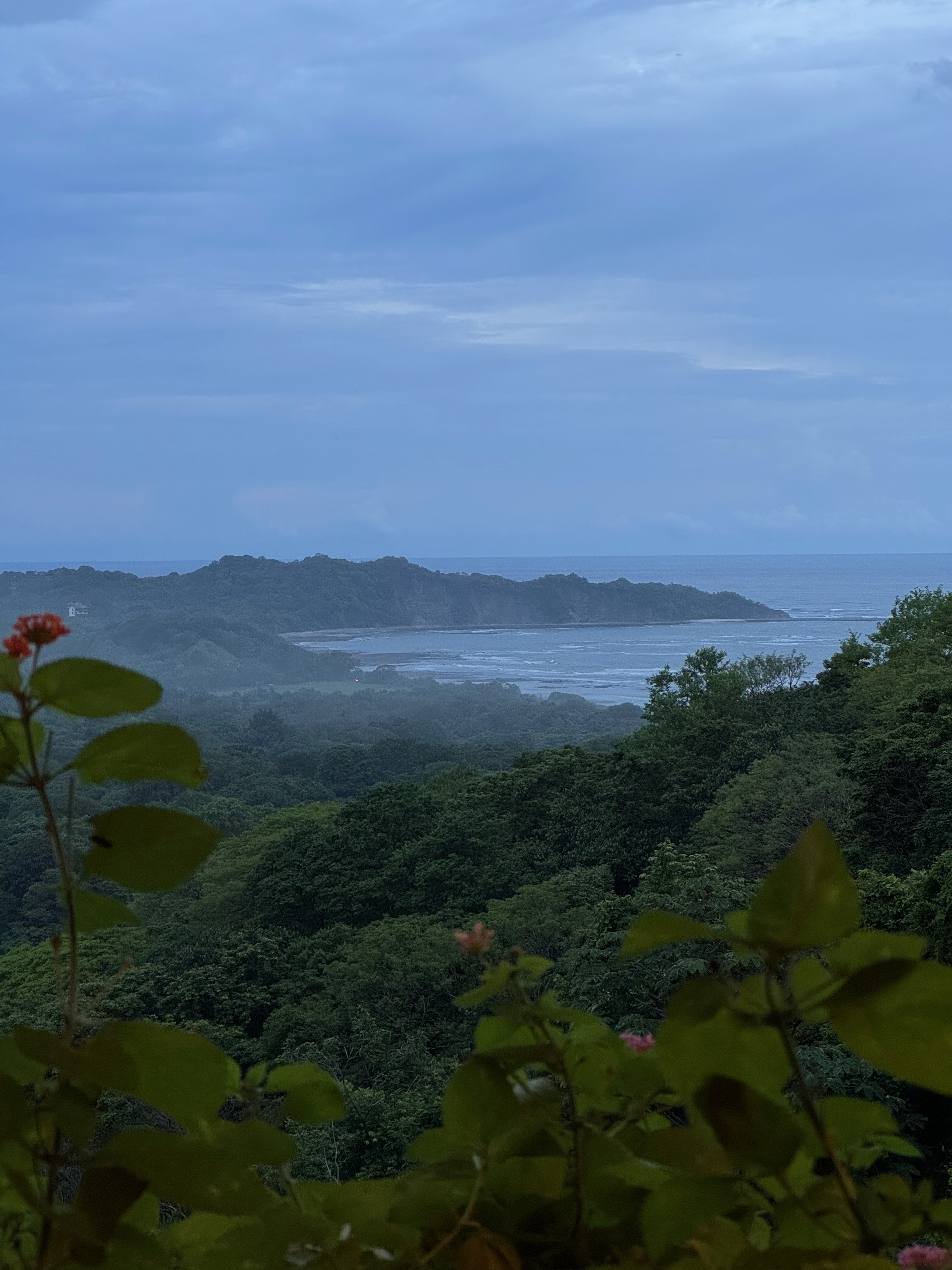 Panoramic view of Nosara's lush jungle canopy stretching to the Pacific Ocean coastline