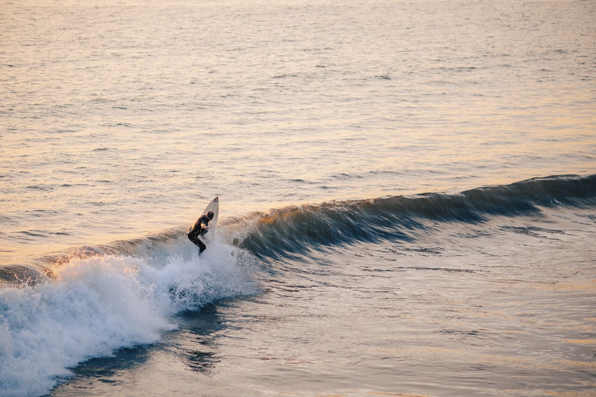 Surfer riding a wave in golden sunlight on a tropical beach