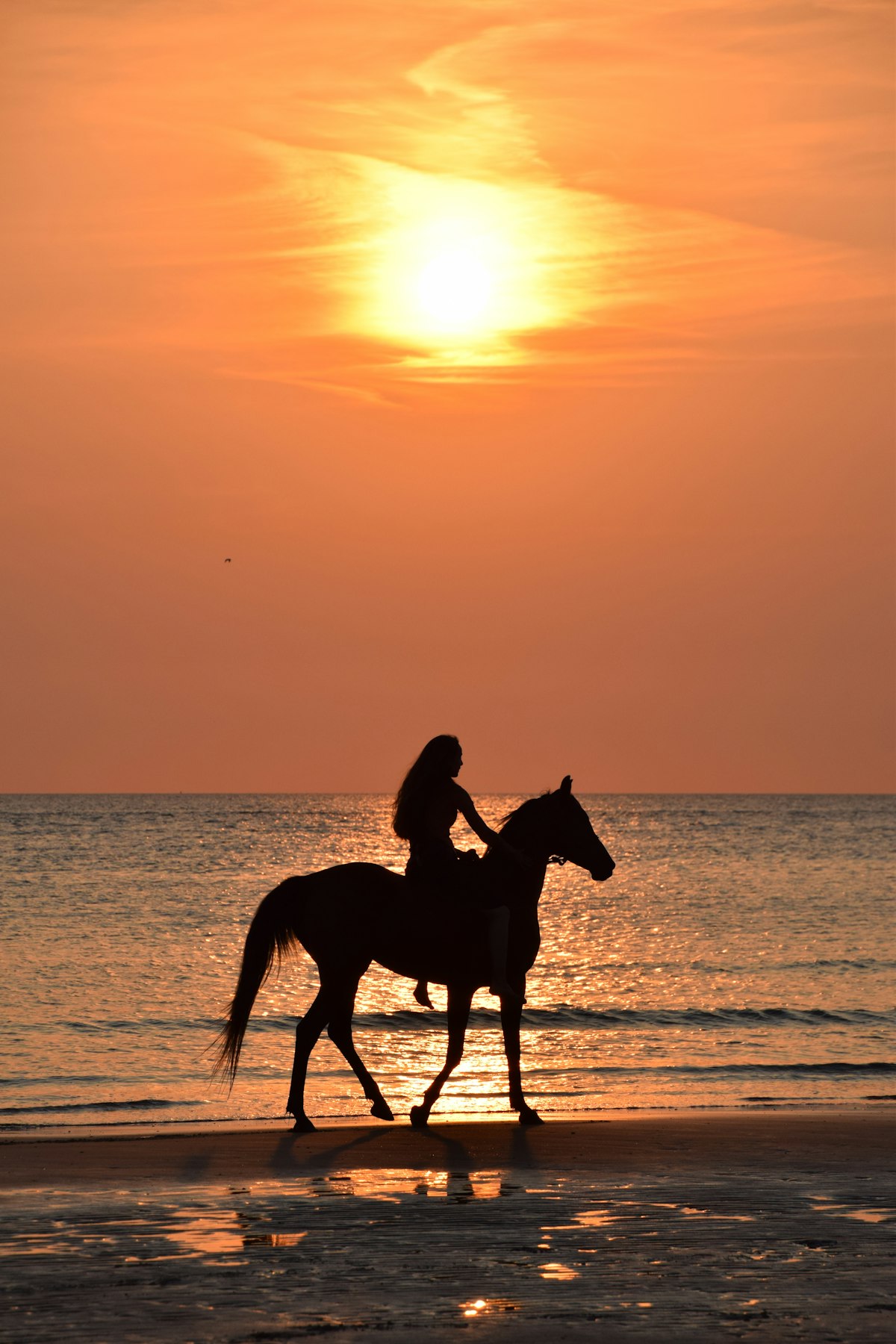 Playa Ponies horseback riders on the beach at sunset in Nosara